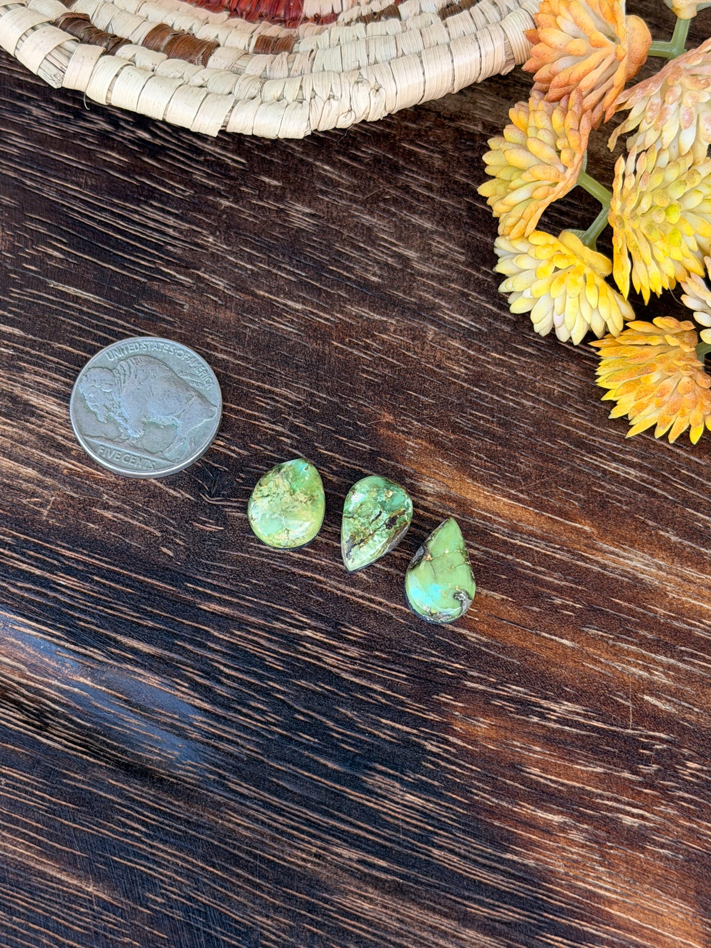 Sonoran Mountain Turquoise Cabs