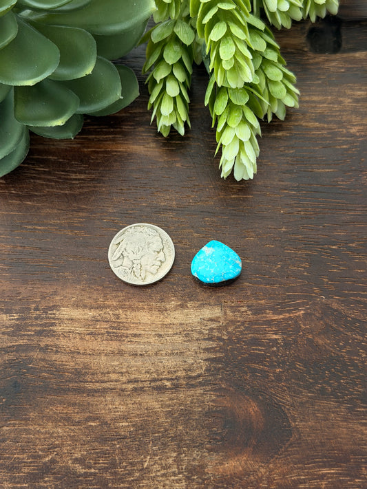 Blue Bird Turquoise Cab