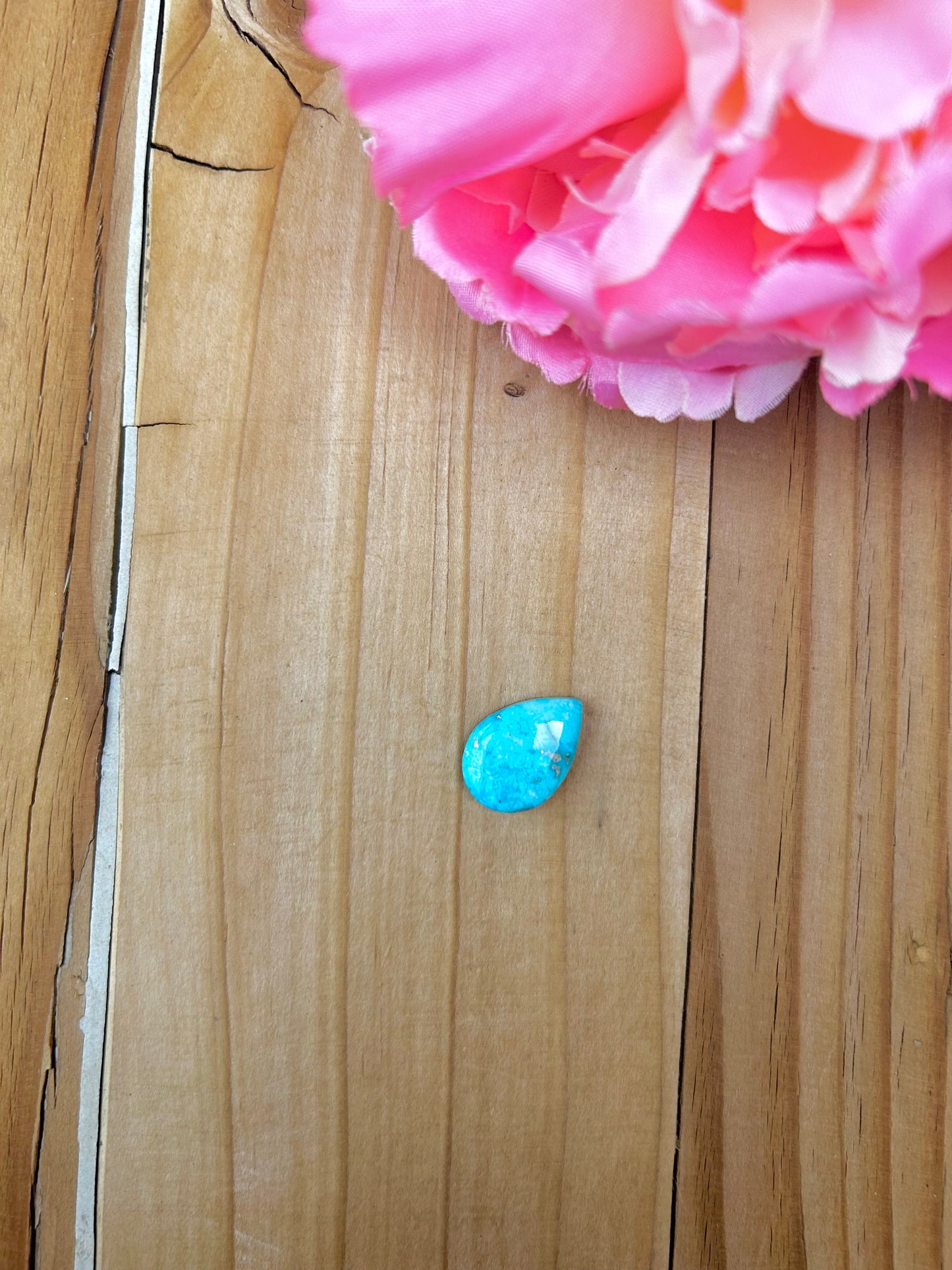Blue Bird Turquoise Cabs