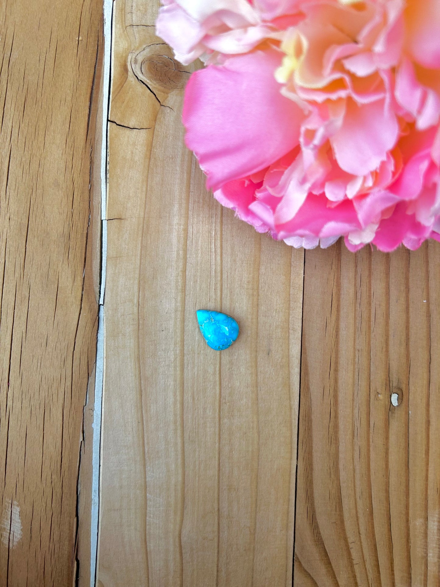 Blue Bird Turquoise Cabs