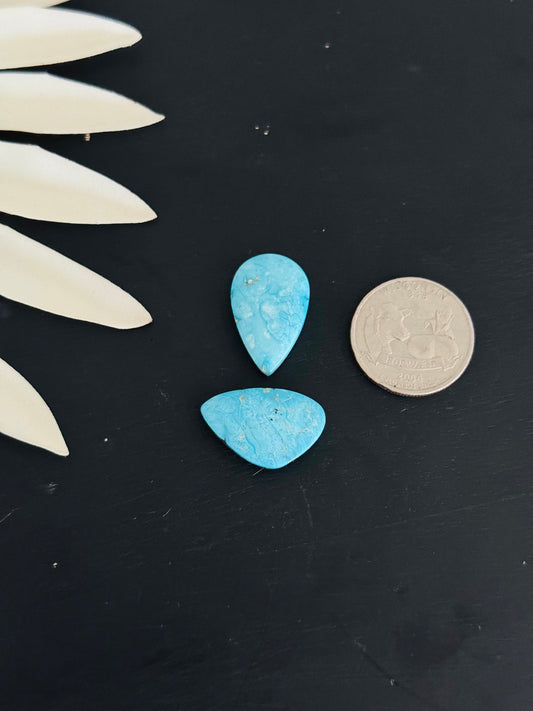 Blue Bird Turquoise Cabs