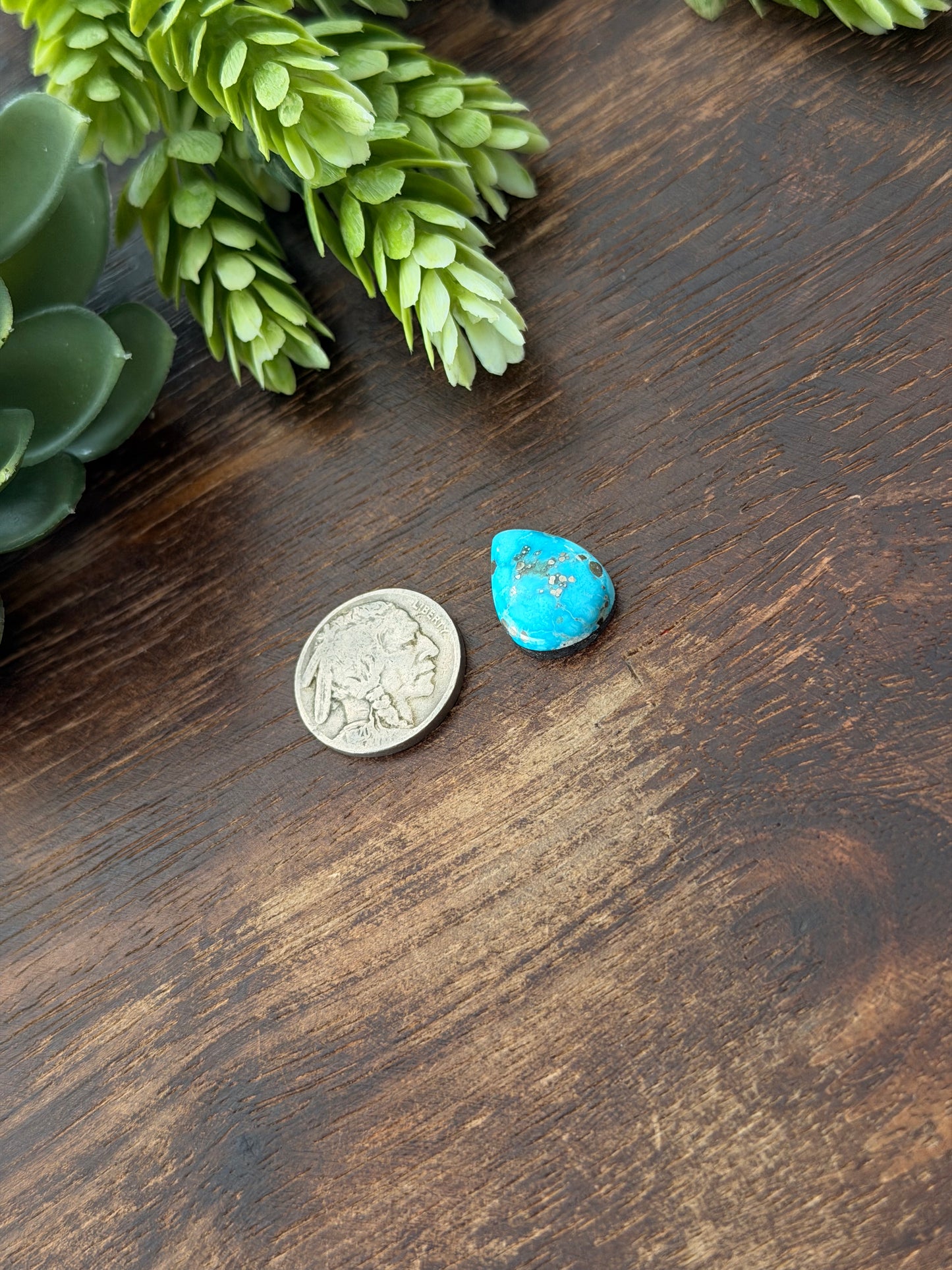 Blue Bird Turquoise Cab