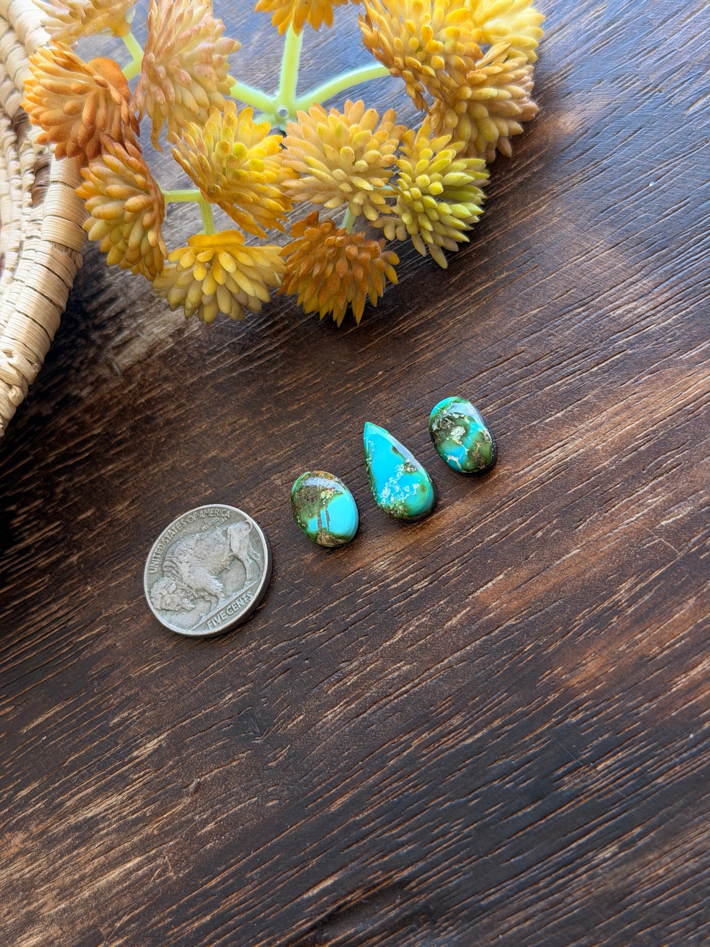 Sonoran Mountain Turquoise Cabs