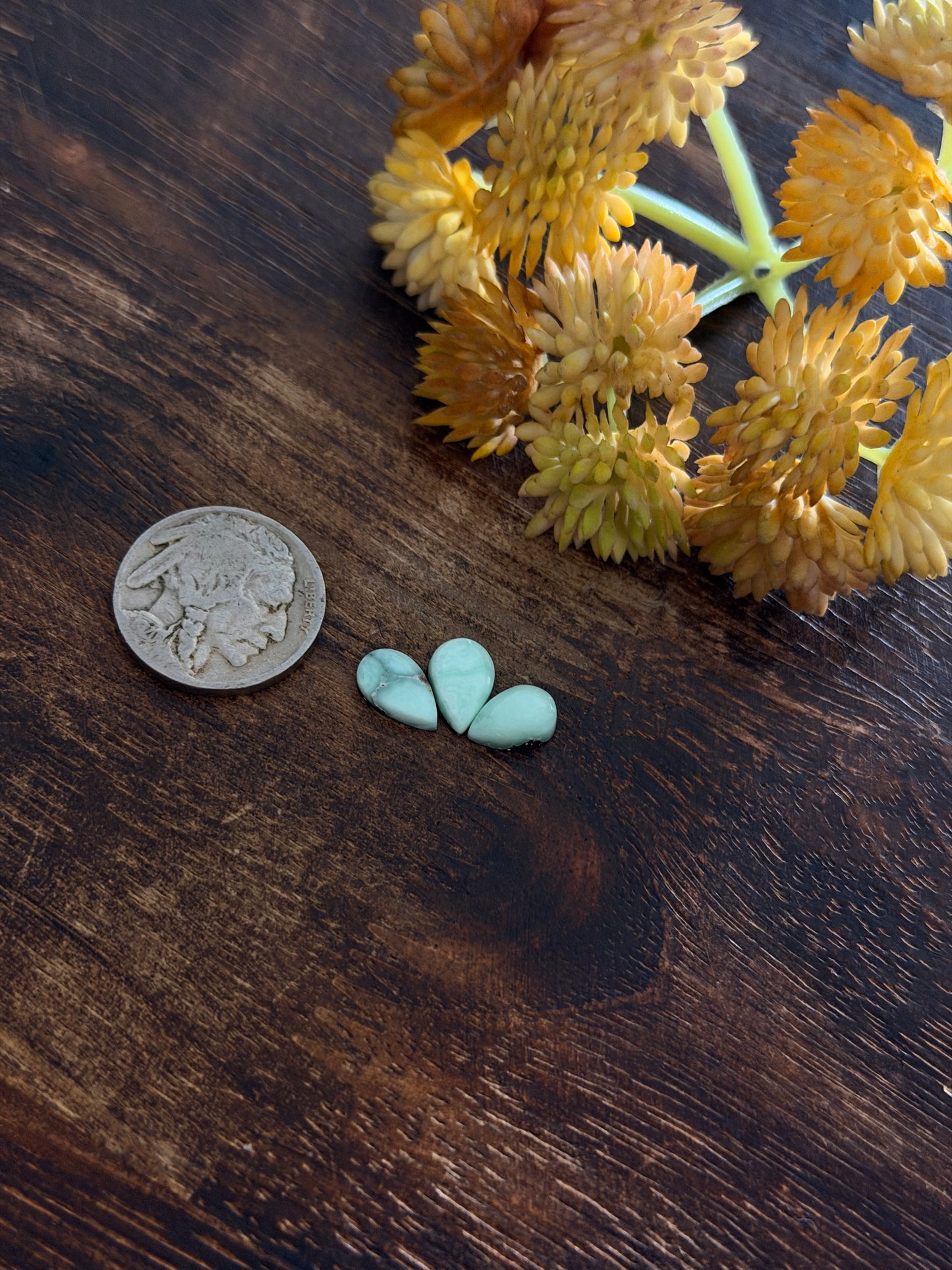 Paloma Variscite Cabs
