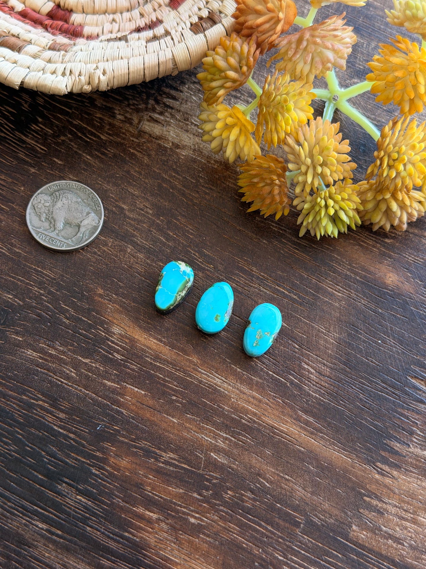 Sonoran Mountain Turquoise Cabs