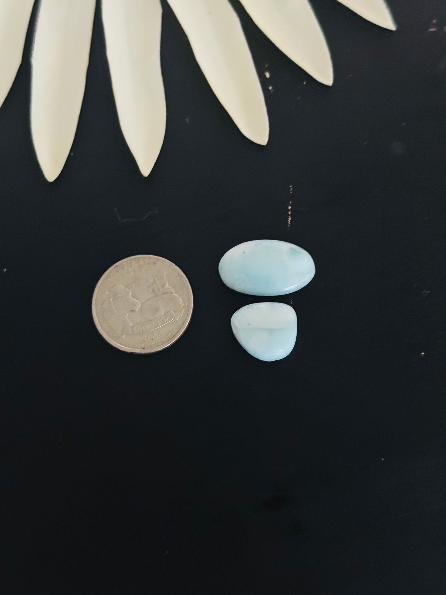 Larimar Cabs