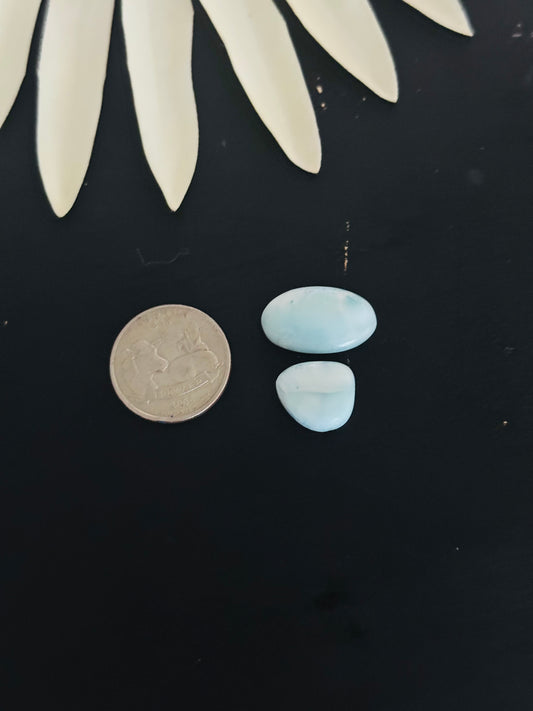 Larimar Cabs