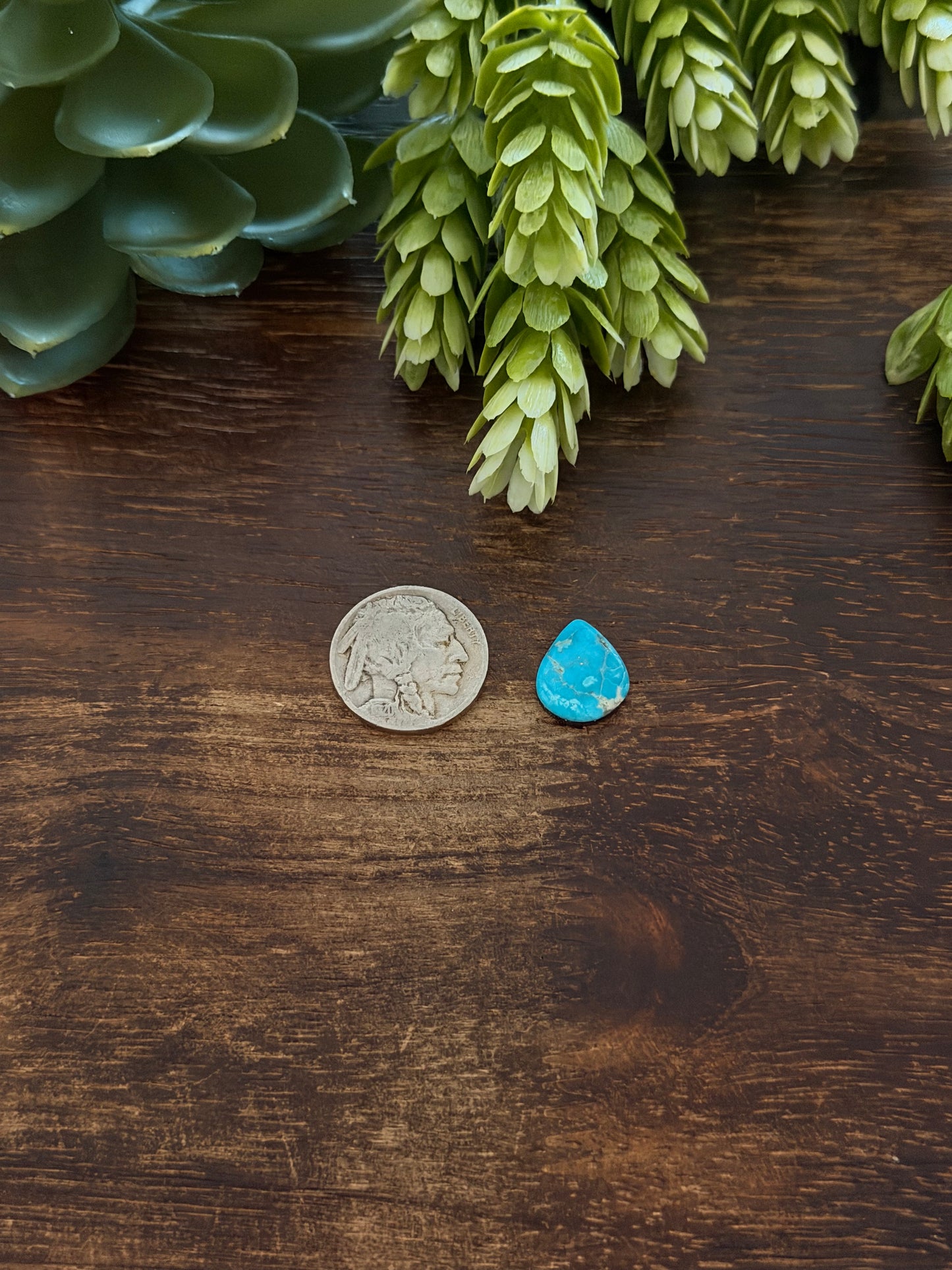 Blue Bird Turquoise Cab
