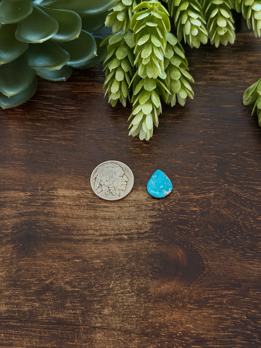 Blue Bird Turquoise Cab