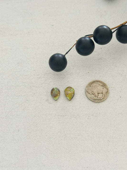 Palomino Variscite Cabs