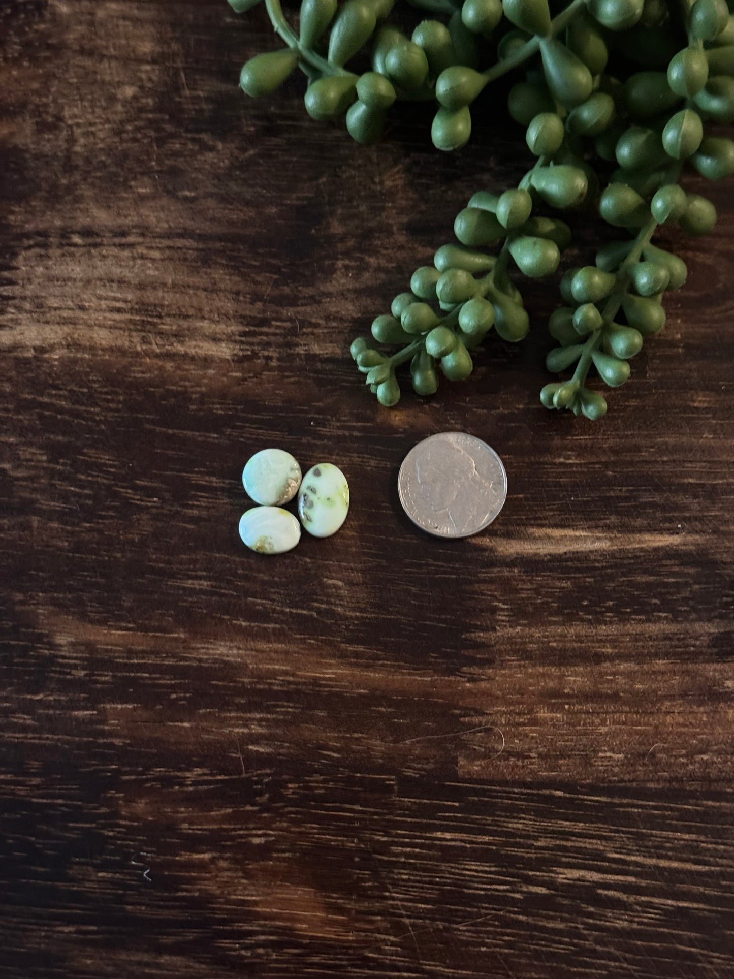 Palomino Variscite Cabs