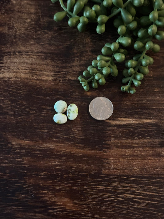 Palomino Variscite Cabs