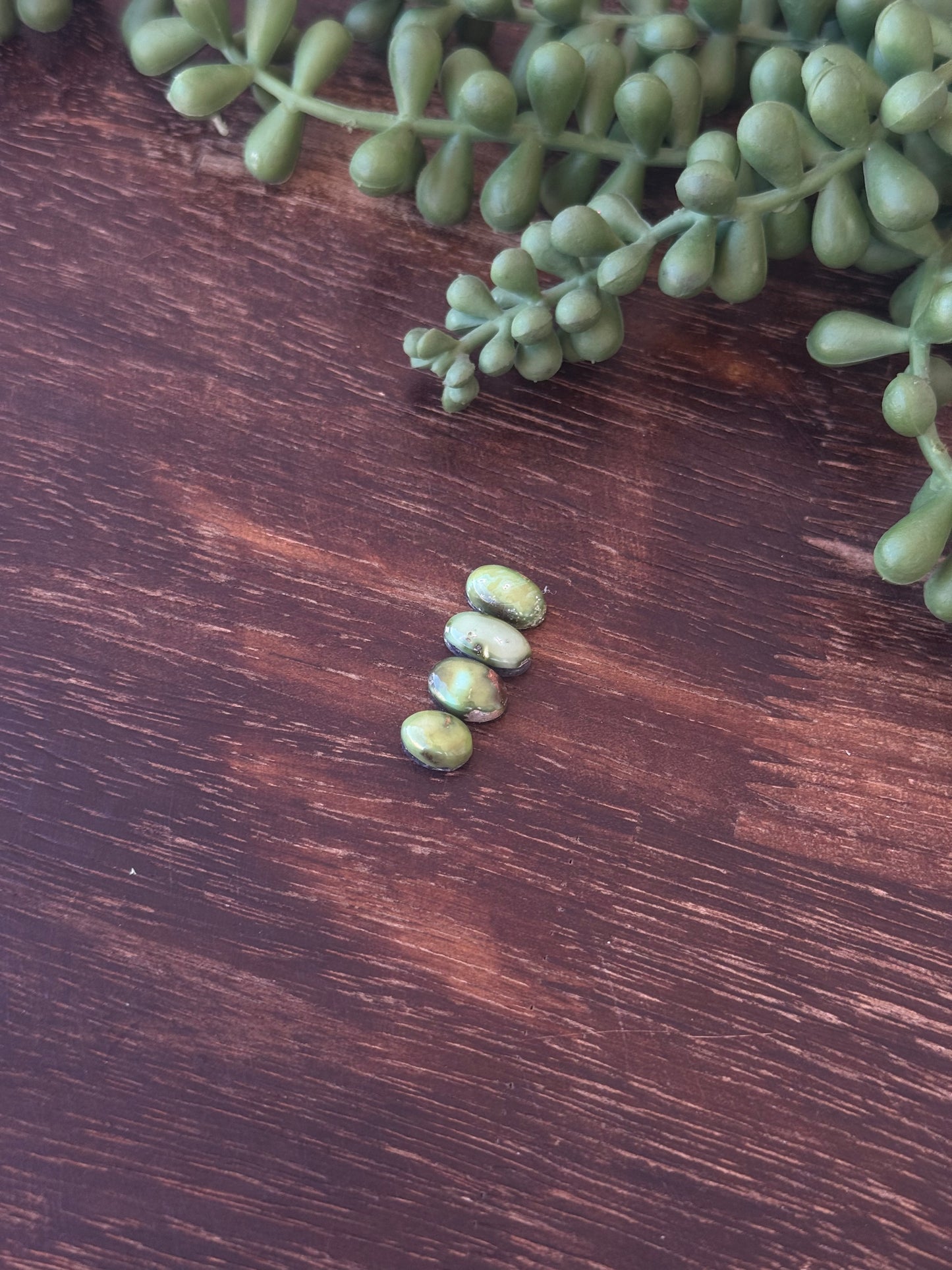 Sonoran Mountain Turquoise Cabs