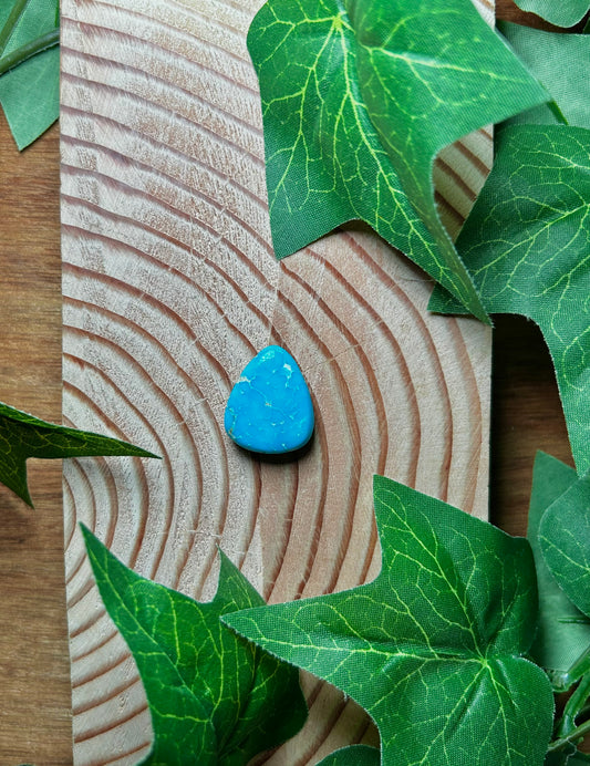 Blue Bird Turquoise Cabs
