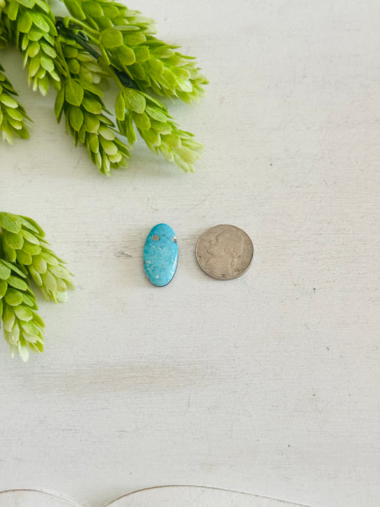Blue Bird Turquoise Cab