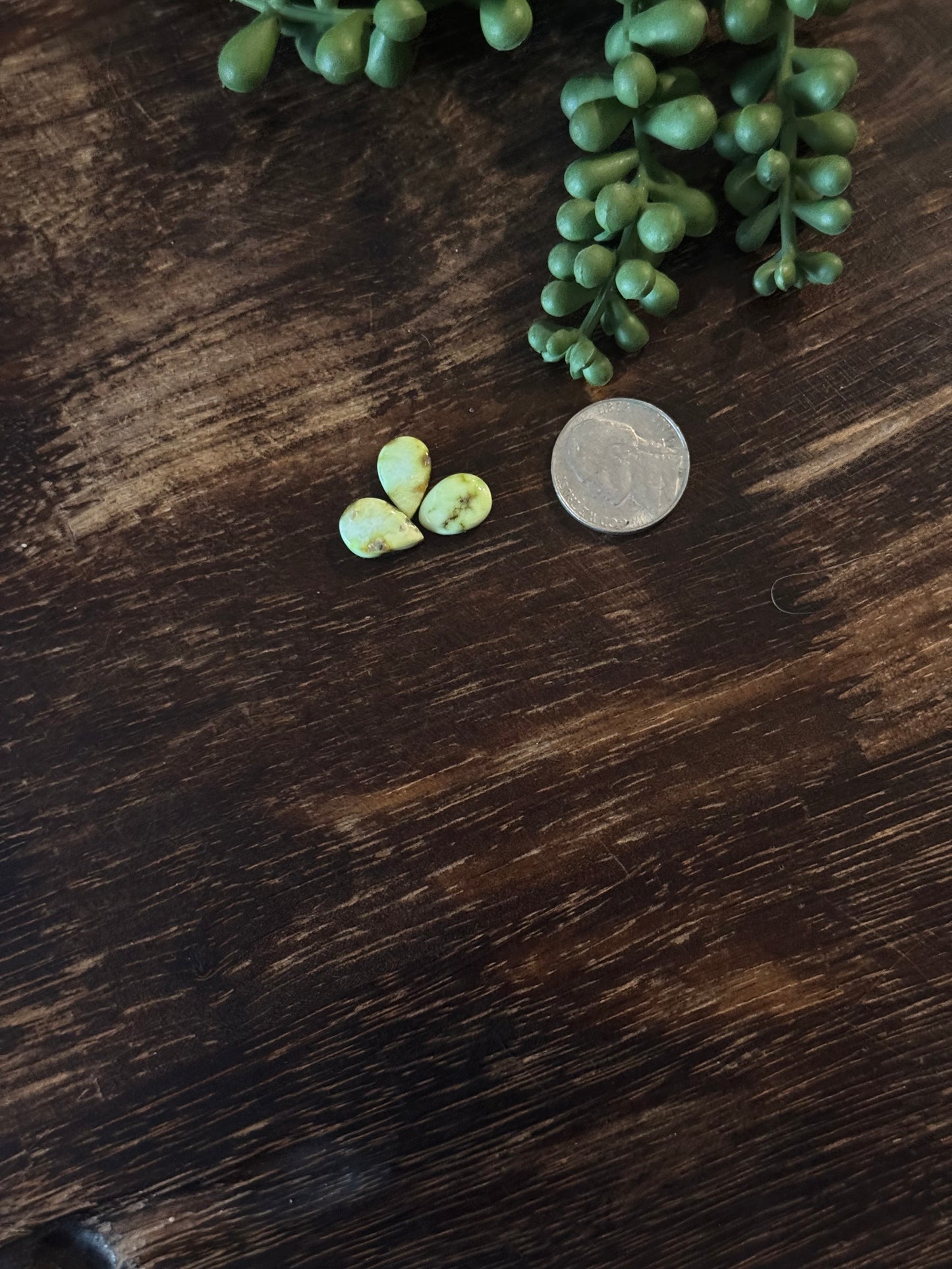 Palomino Variscite Cabs
