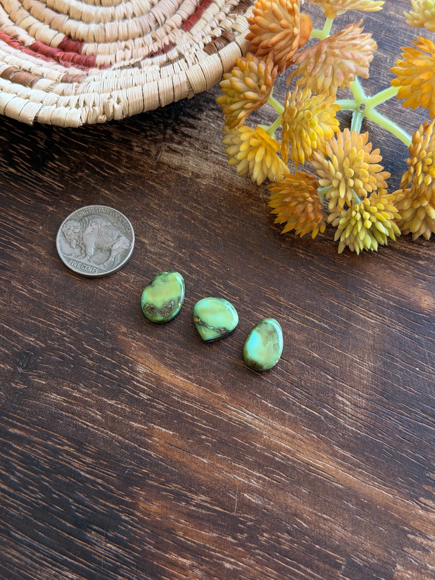 Sonoran Mountain Turquoise Cabs