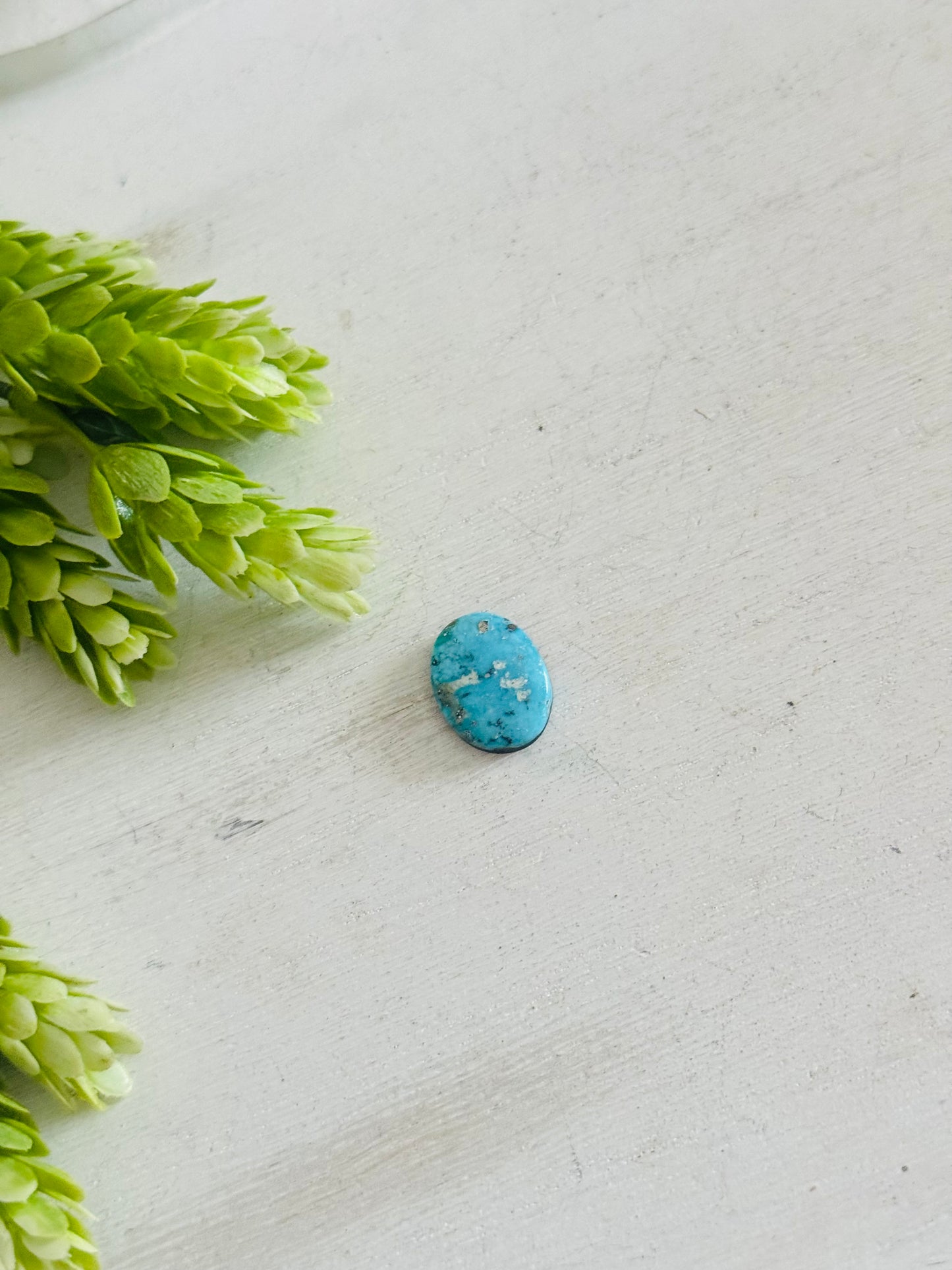 Blue Bird Turquoise Cab