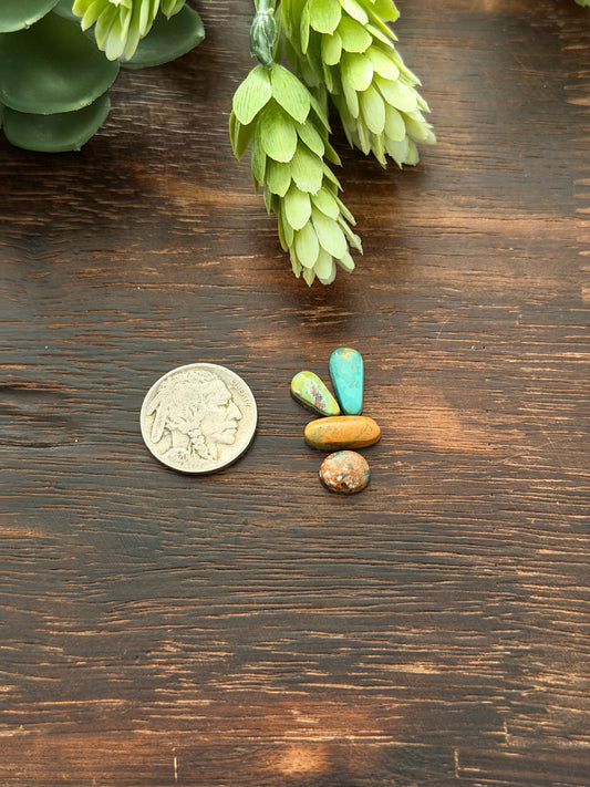 Evans Turquoise Cabs