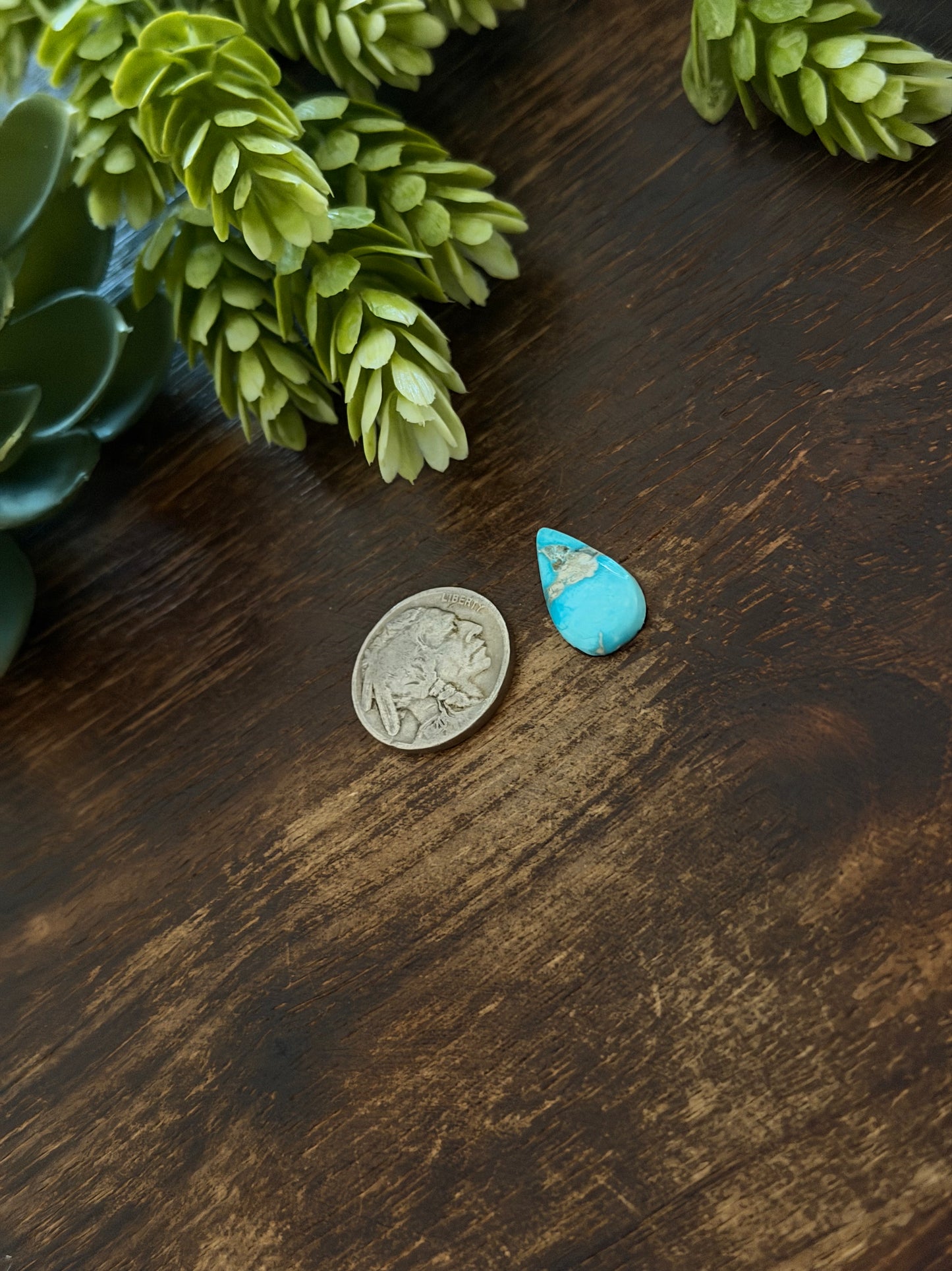 Blue Bird Turquoise Cab