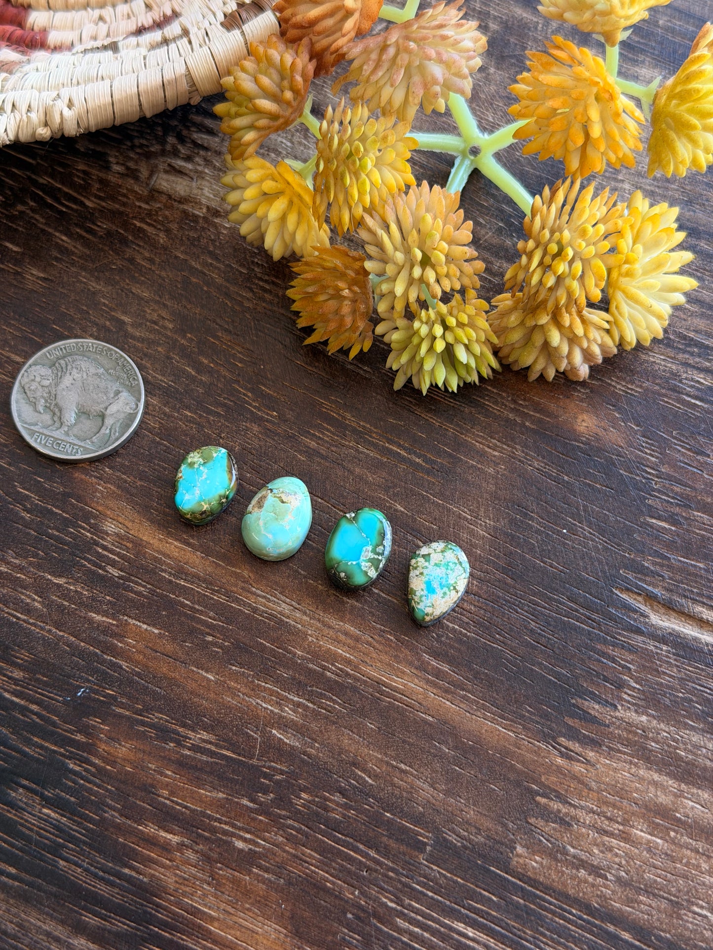 Sonoran Mountain Turquoise Cabs