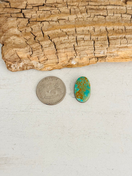 Natural Kings Manassa Turquoise Cab