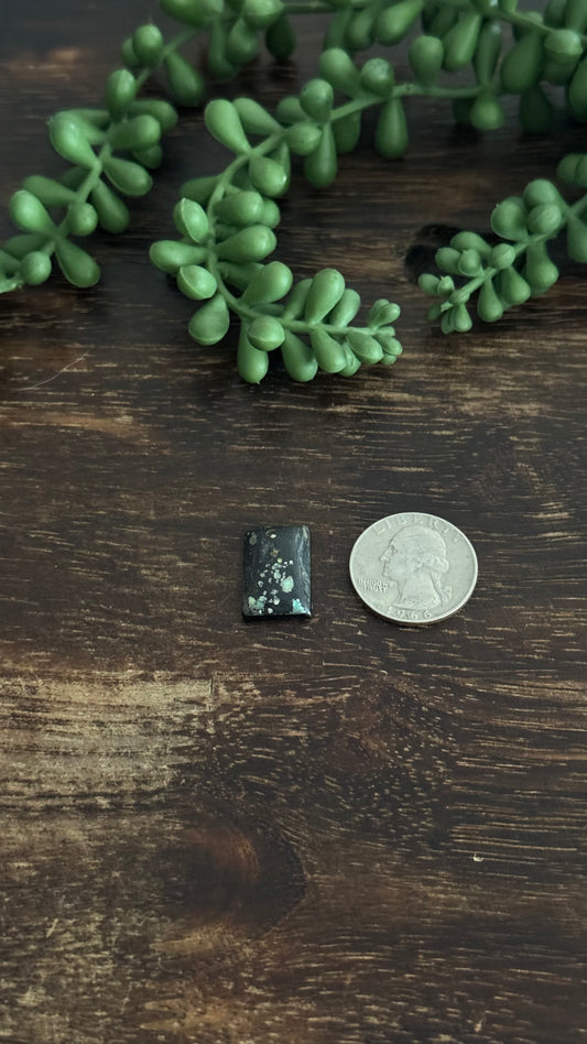 Black Jack Turquoise Cab