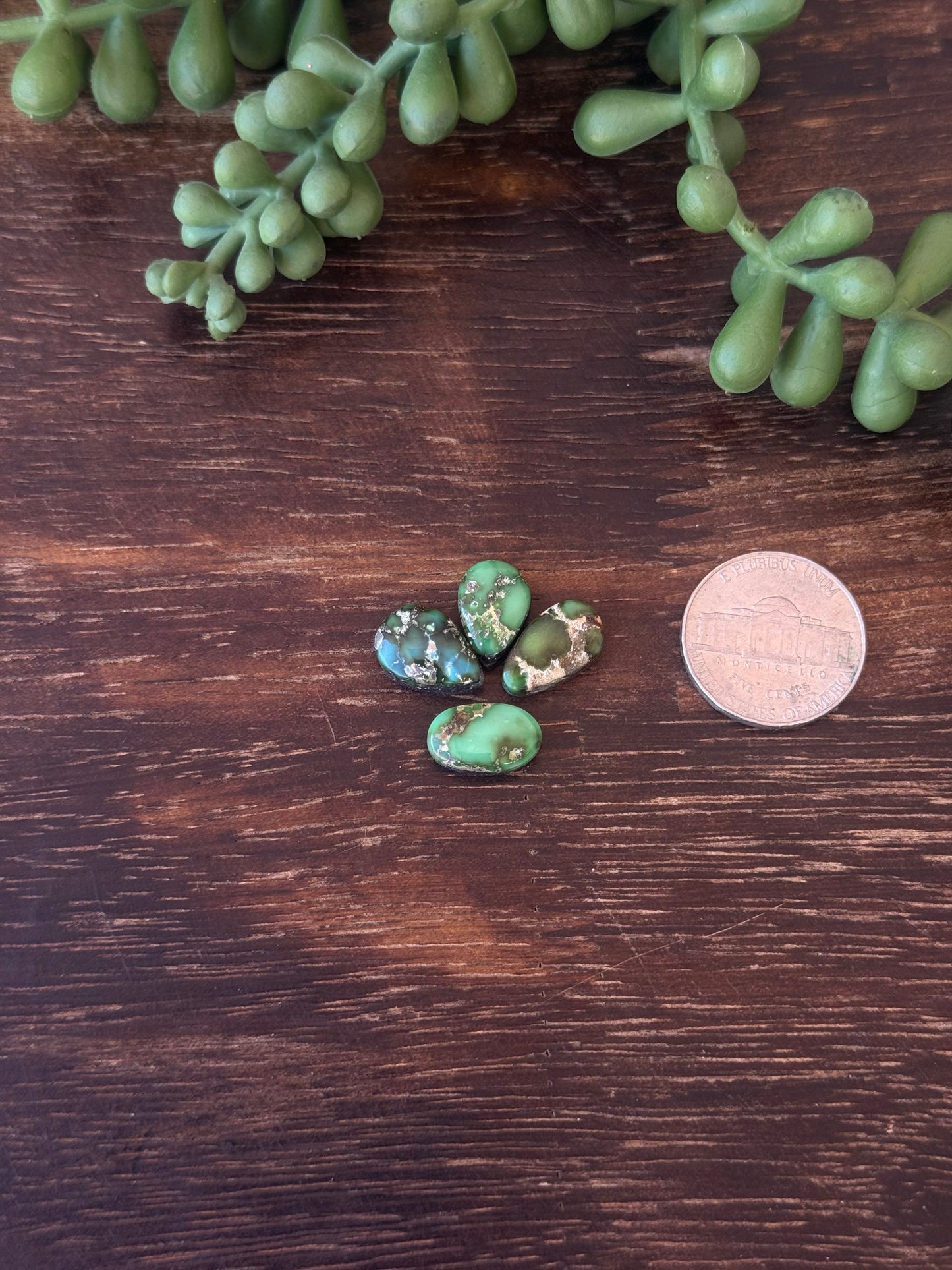 Sonoran Mountain Turquoise Cabs