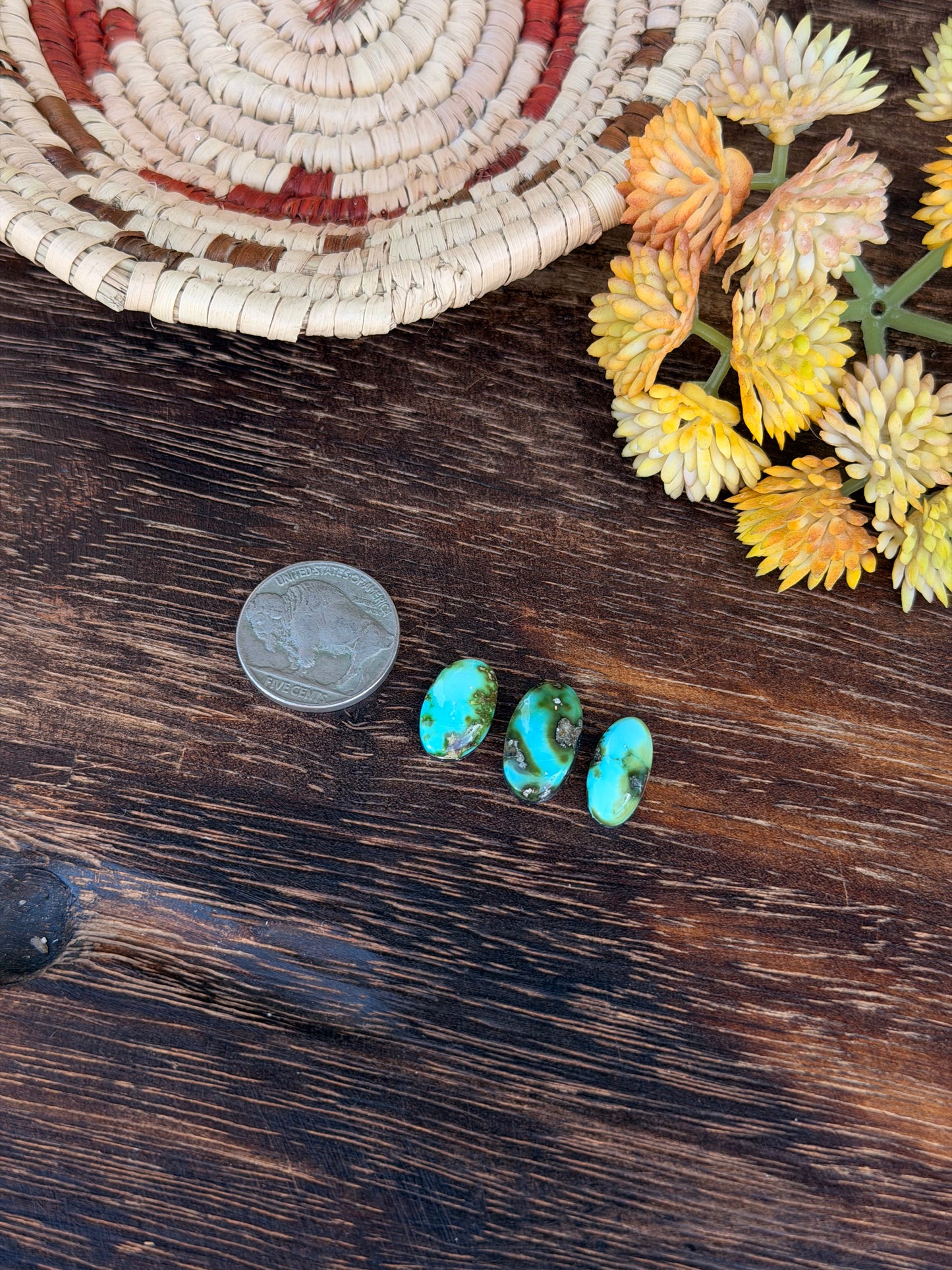 Sonoran Mountain Turquoise Cabs