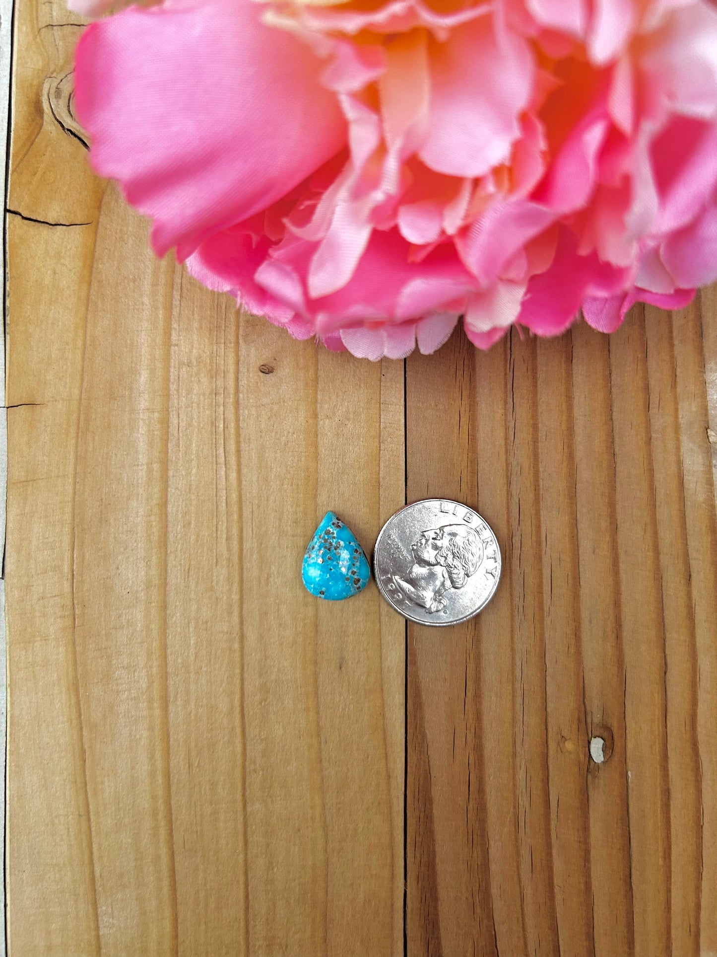 Blue Bird Turquoise Cabs