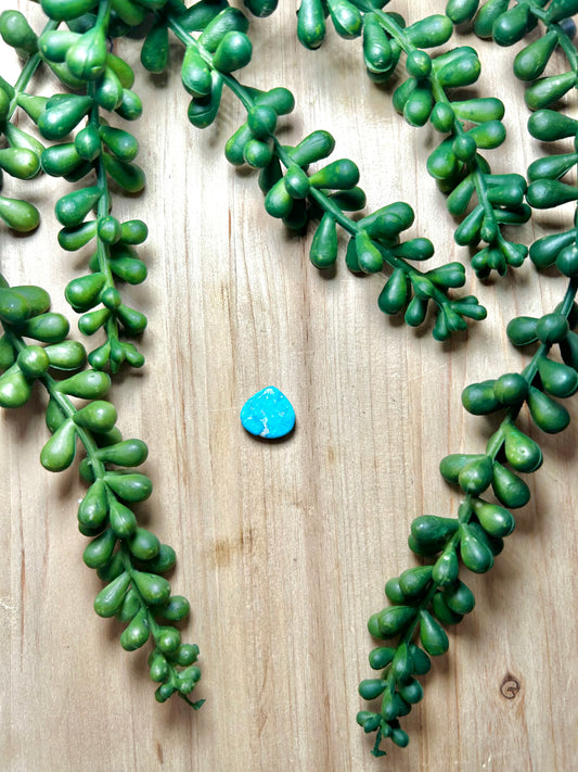 Blue Ridge Turquoise Cab