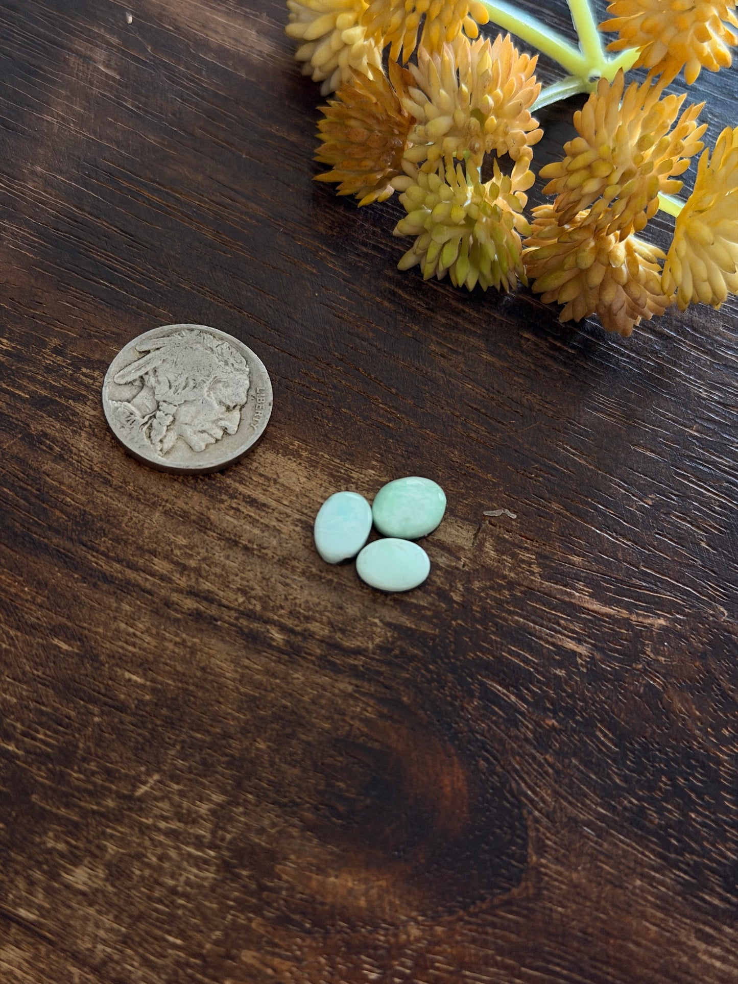 Paloma Variscite Cabs