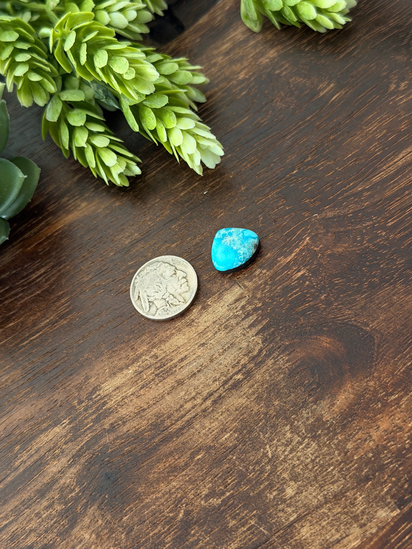 Blue Bird Turquoise Cab