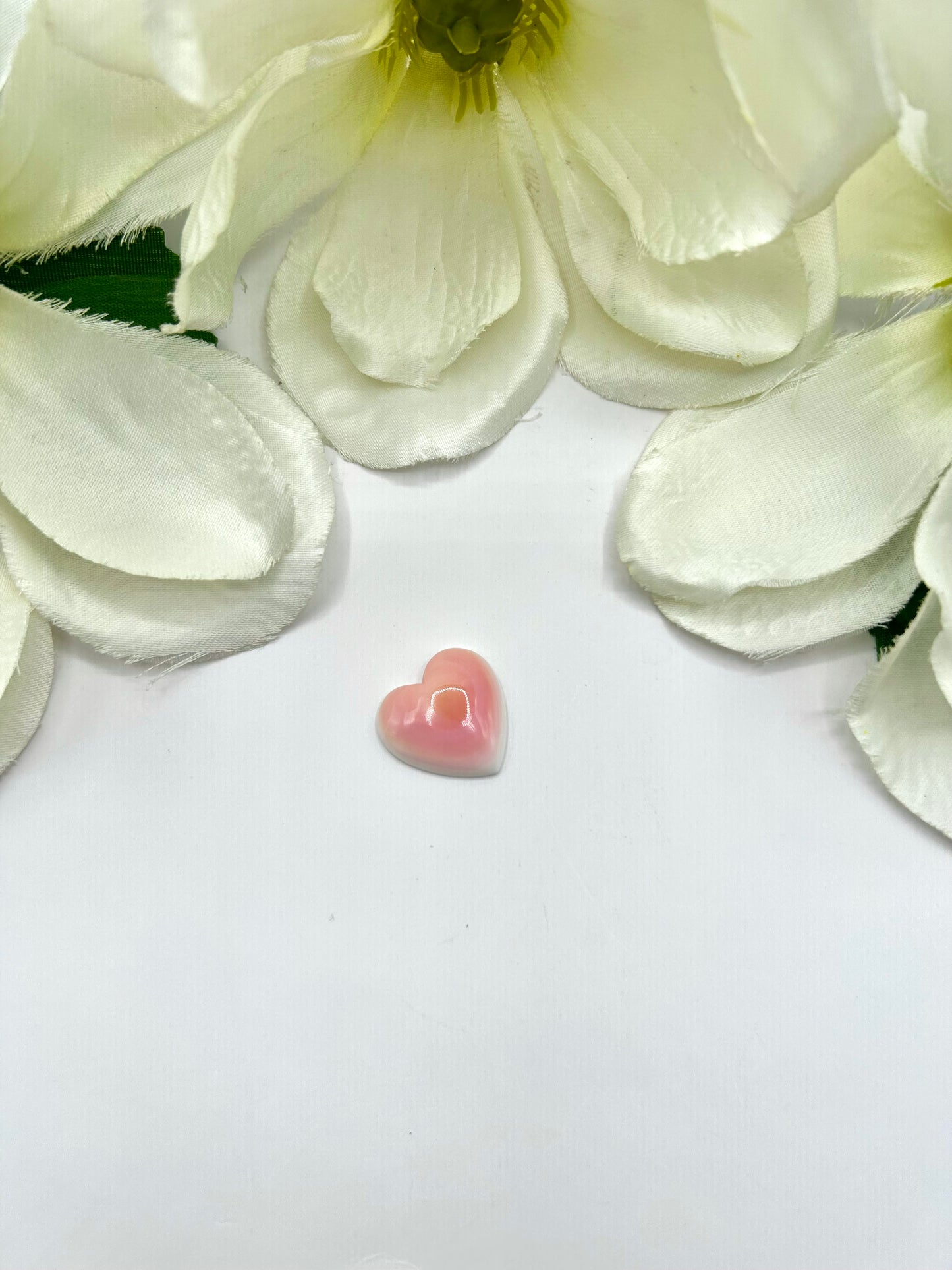 Pink Conch Cab