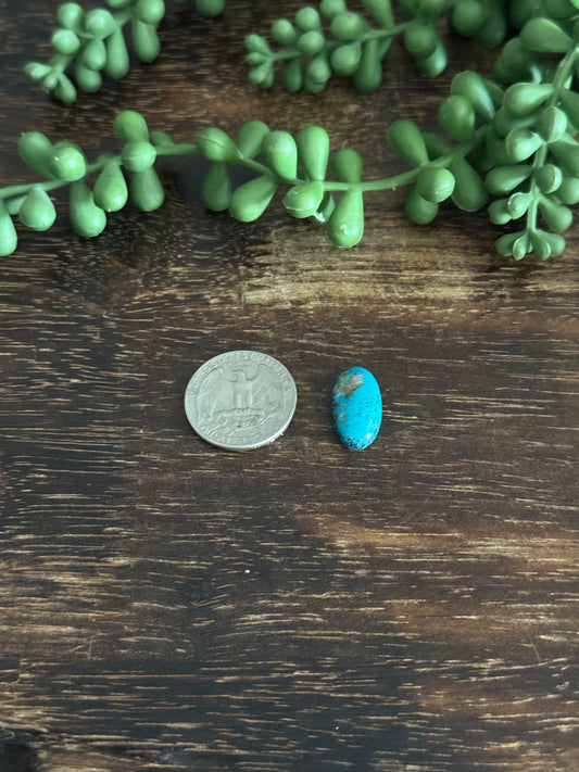 Kingman Turquoise Cab