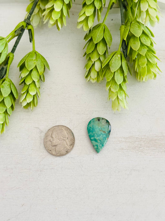 Kingman Turquoise Cab