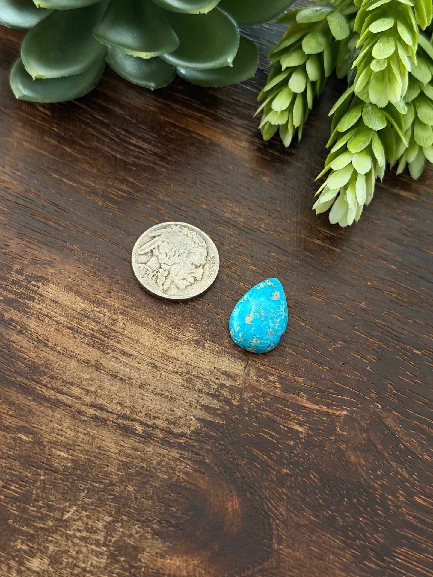 Blue Bird Turquoise Cab