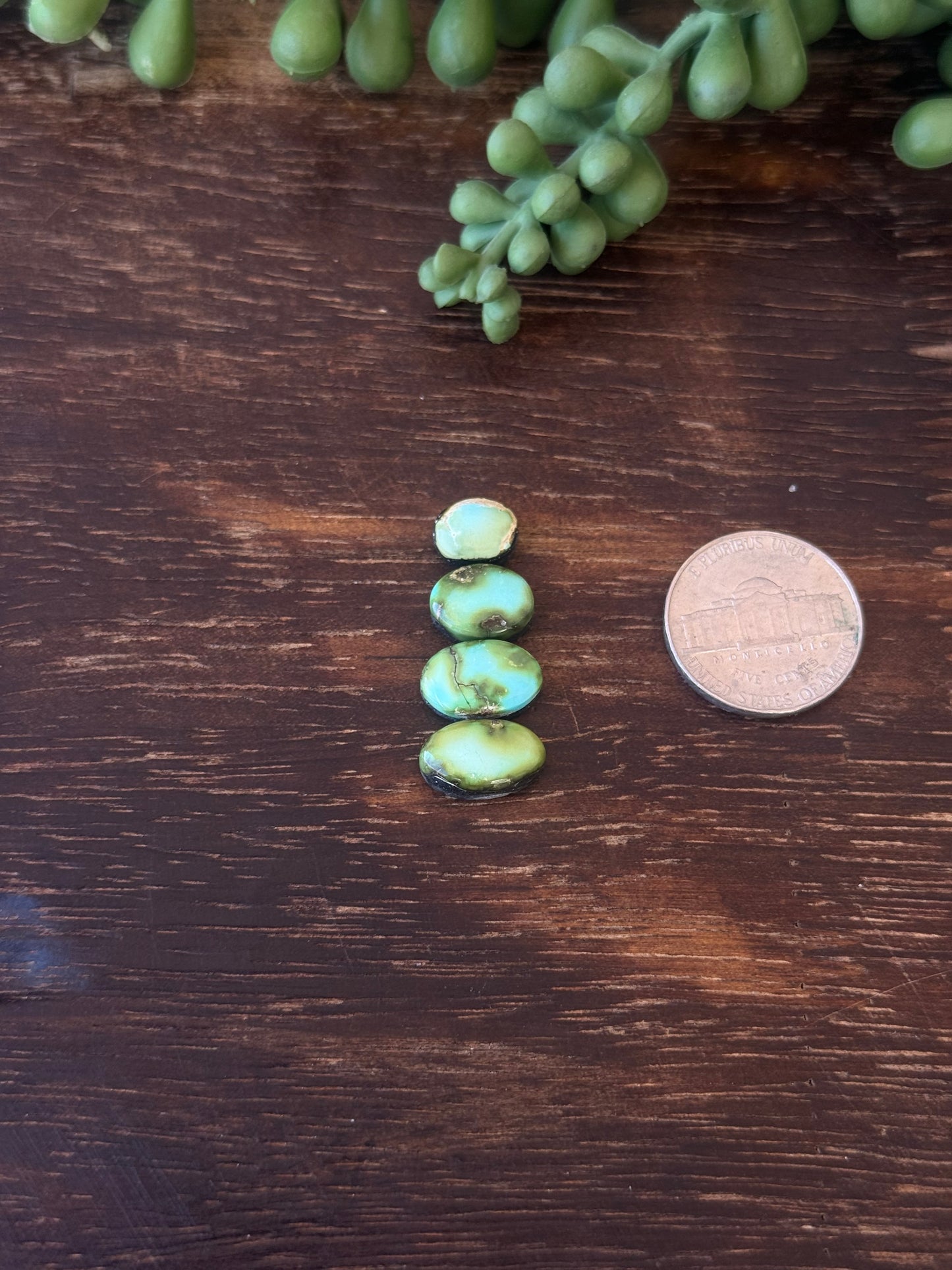 Sonoran Mountain Turquoise Cabs