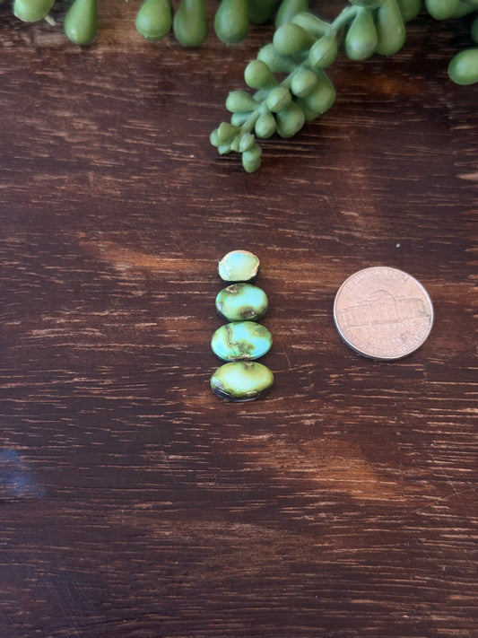 Sonoran Mountain Turquoise Cabs
