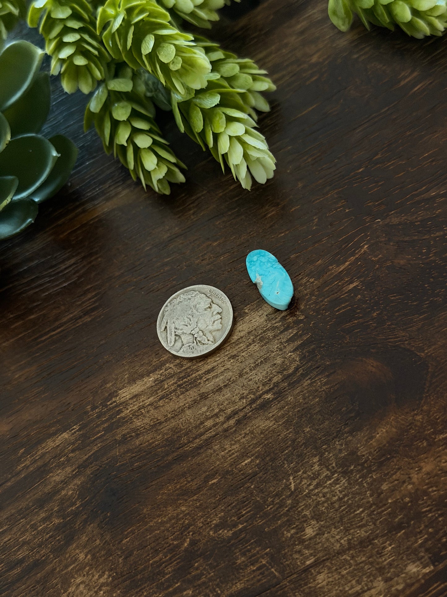 Blue Bird Turquoise Cab