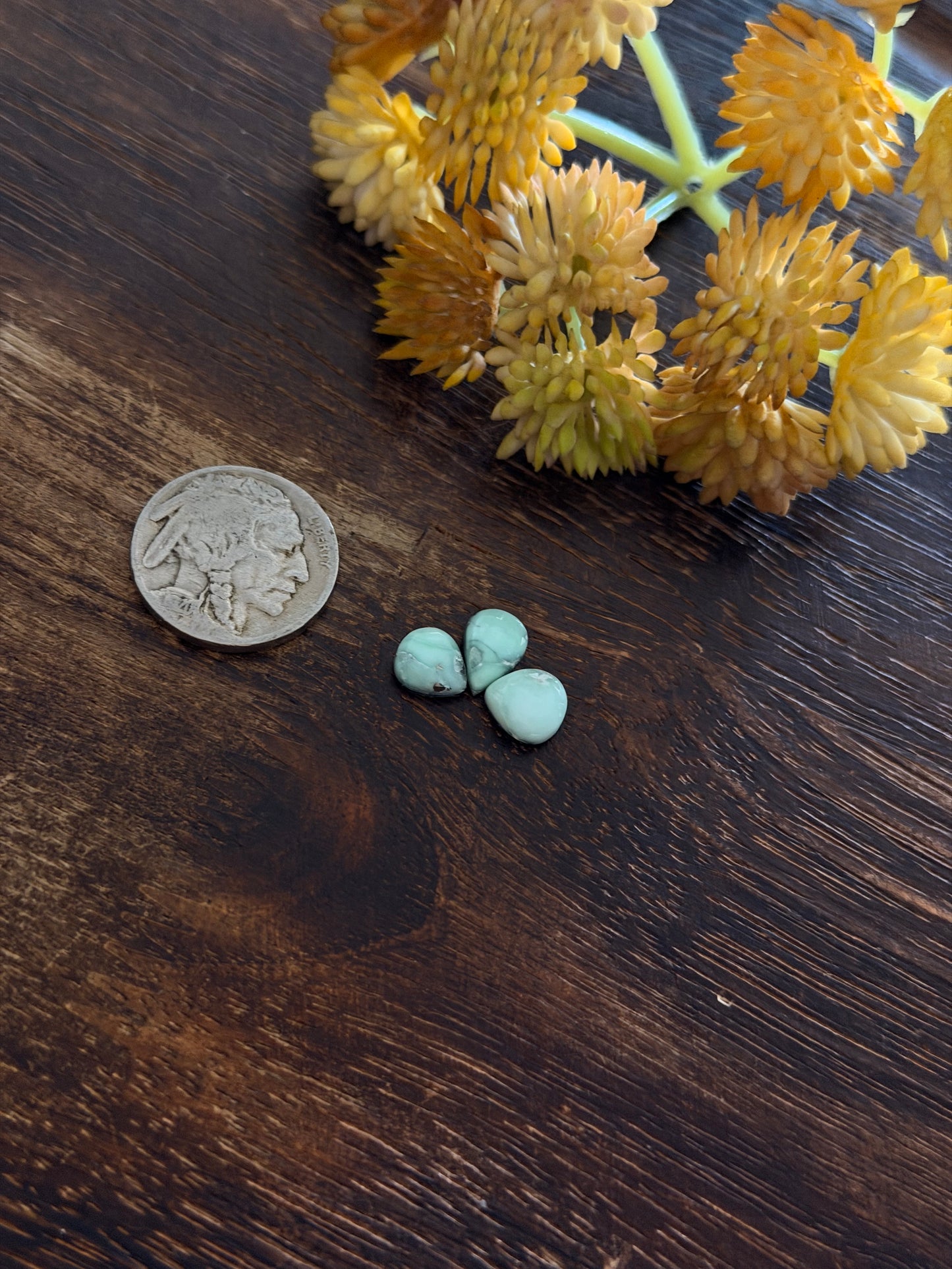Paloma Variscite Cabs