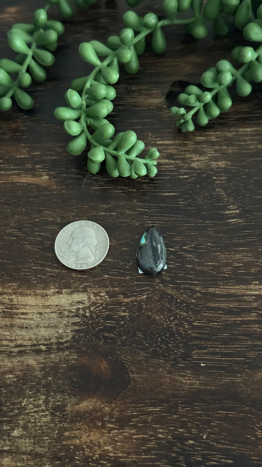 Black Jack Turquoise Cab