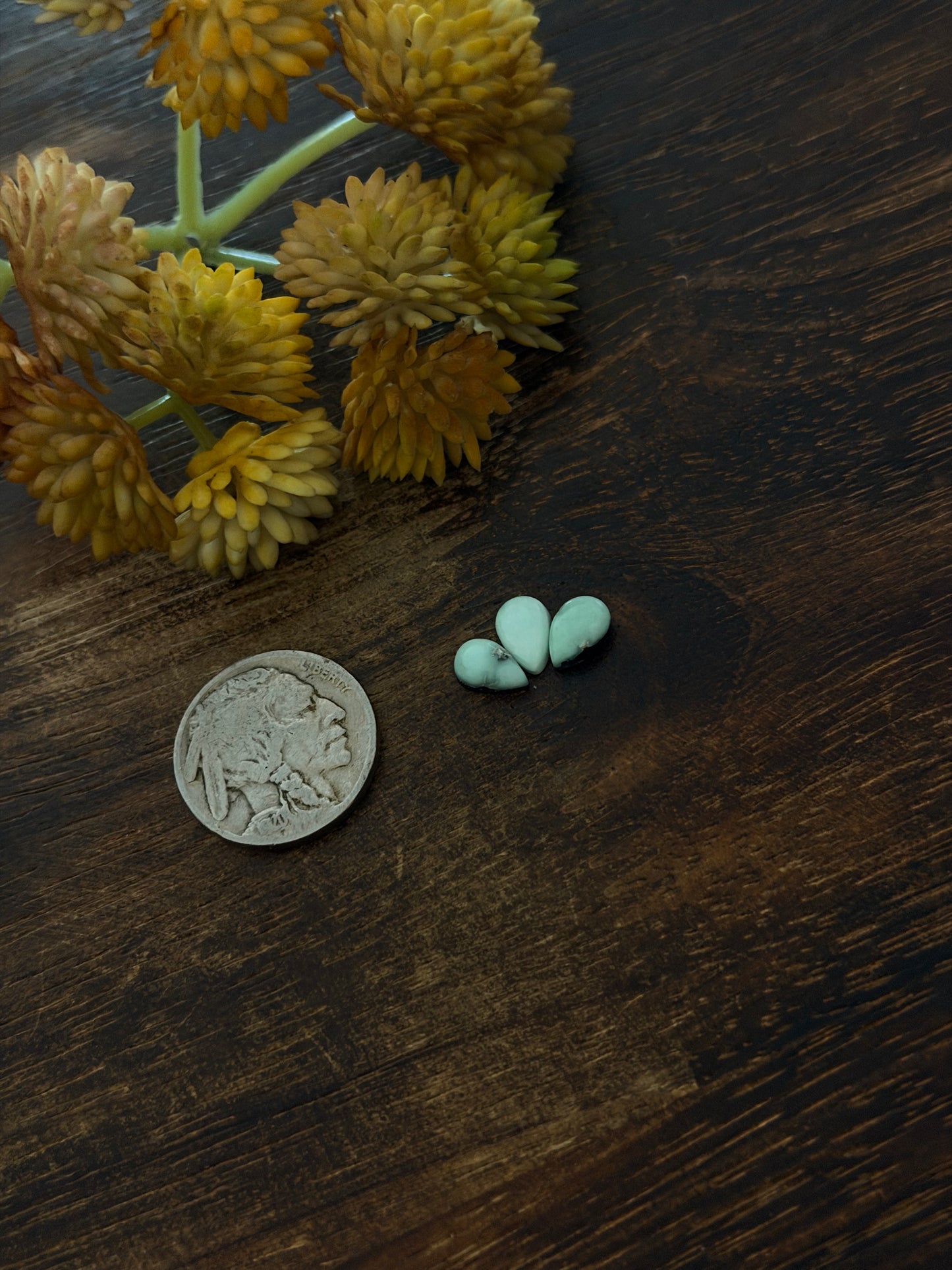 Paloma Variscite Cabs