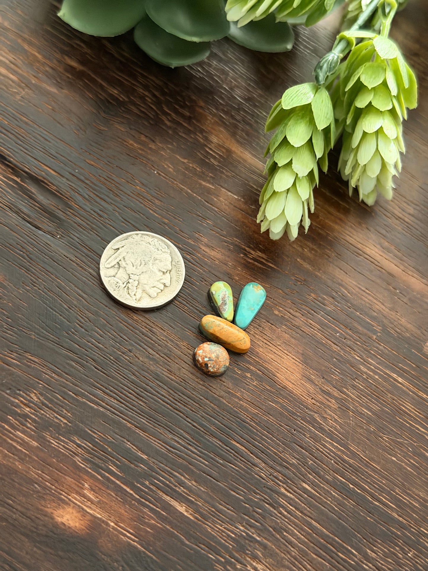 Evans Turquoise Cabs