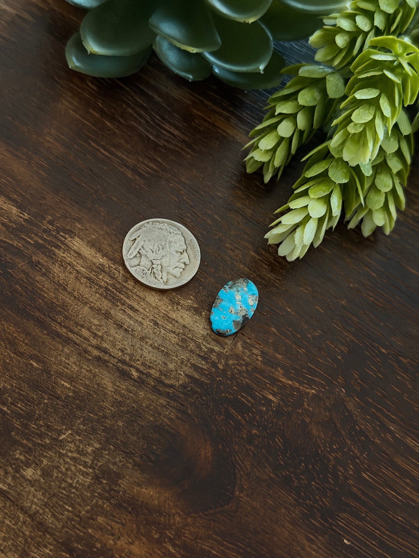 Blue Bird Turquoise Cab