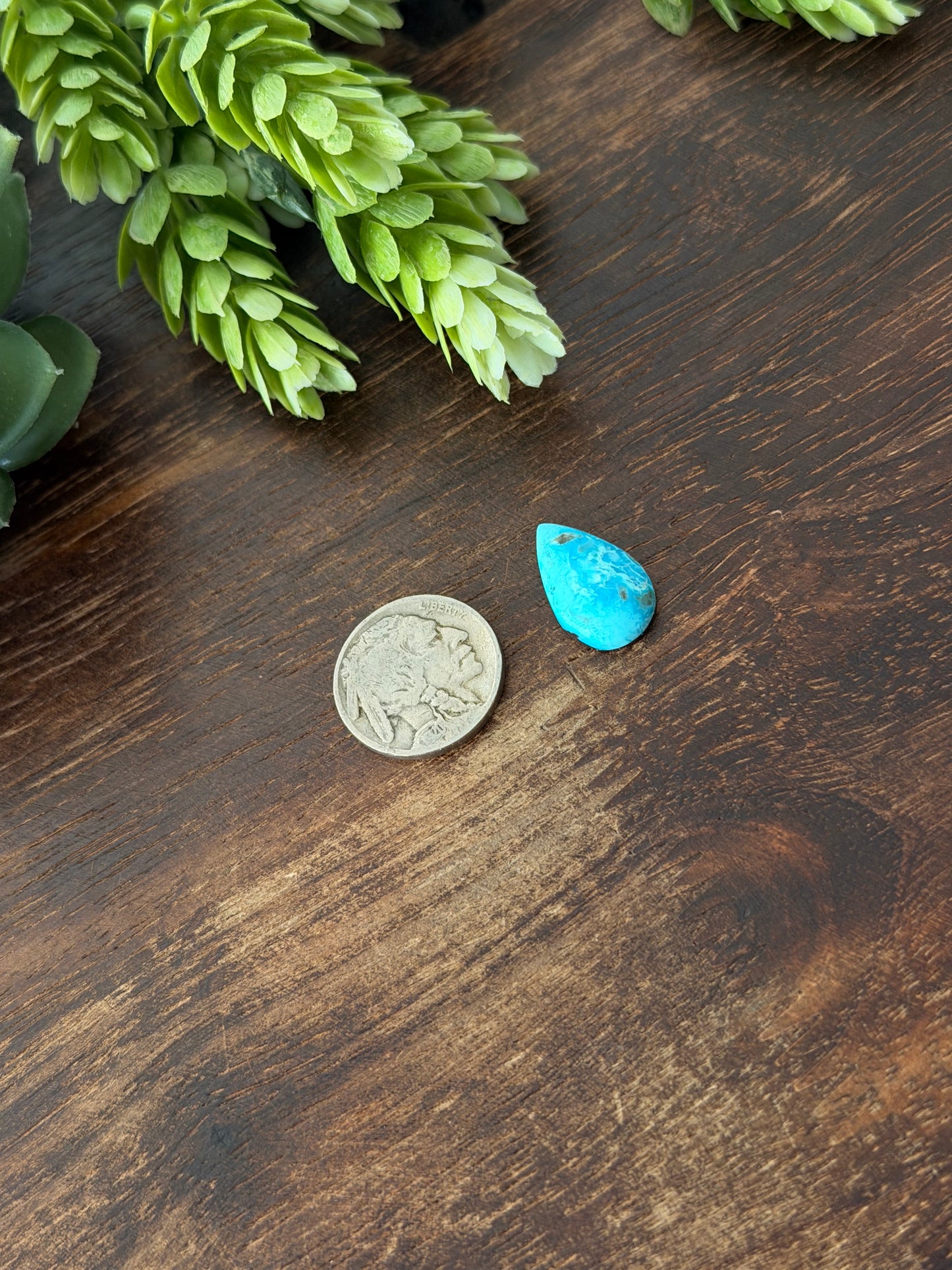 Blue Bird Turquoise Cab