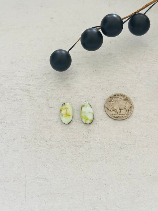 Palomino Variscite Cabs