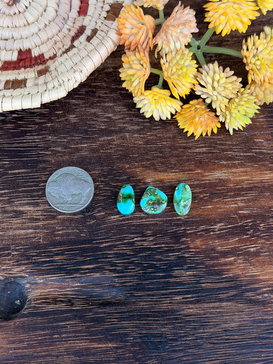 Sonoran Mountain Turquoise Cabs