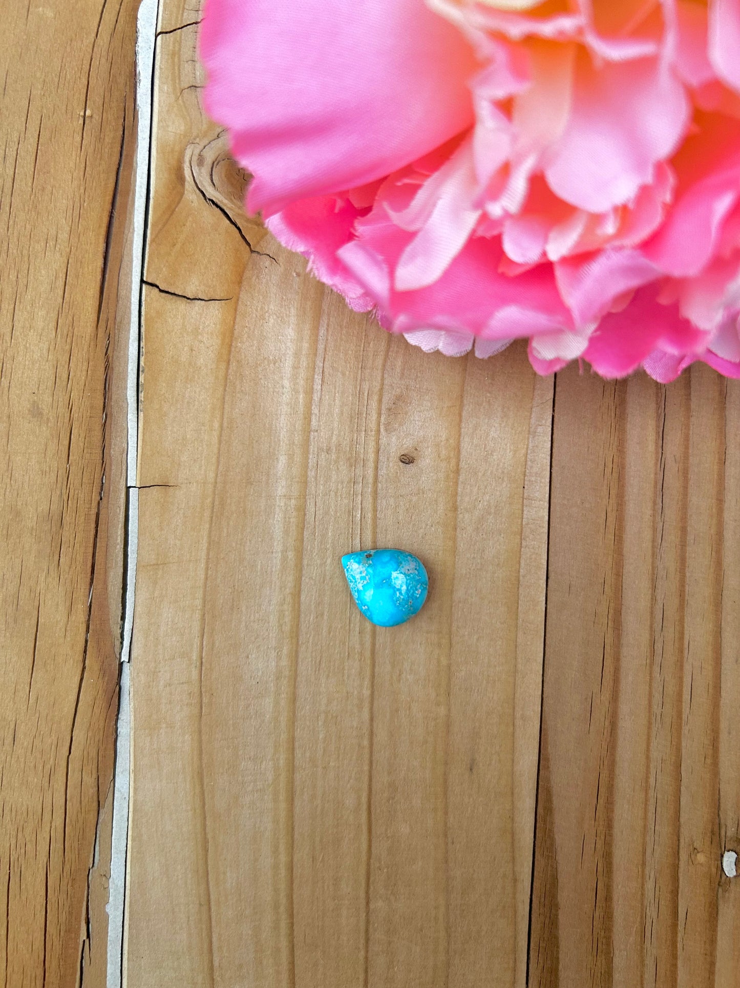 Blue Bird Turquoise Cabs