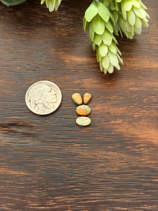 Evans Turquoise Cabs